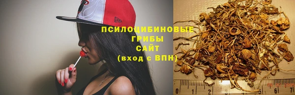 марки nbome Богородицк