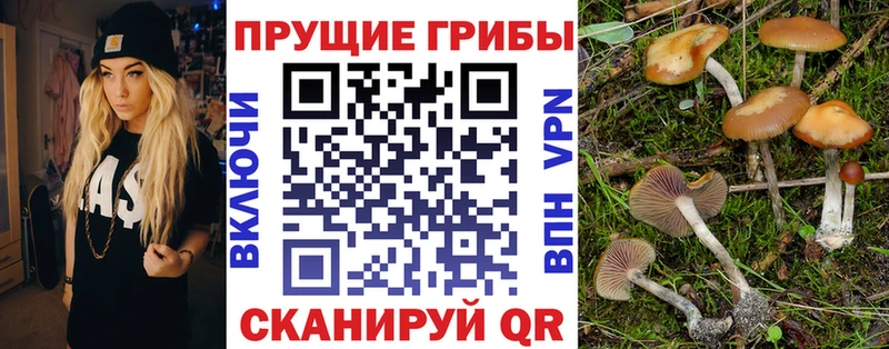 Галлюциногенные грибы ЛСД  Купить  Купино 